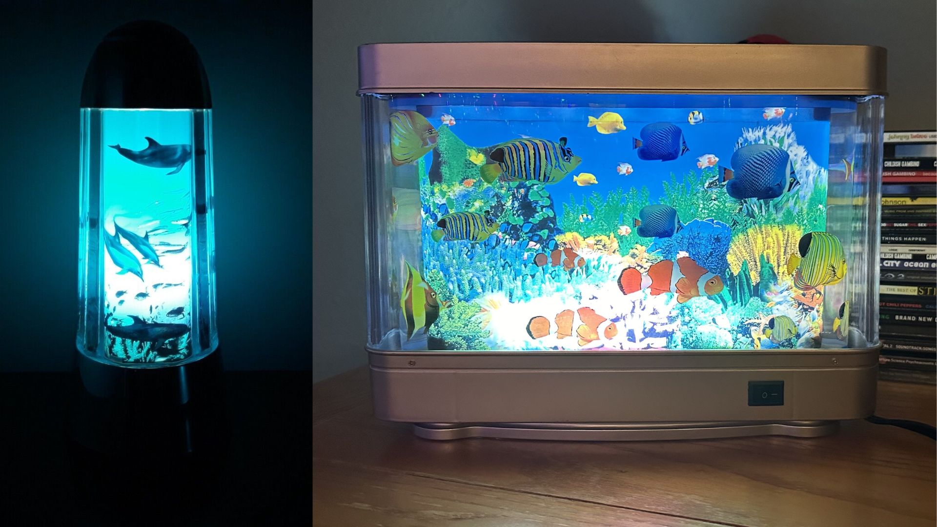 Fish Aquarium Motion lamps Rabbit tanaka